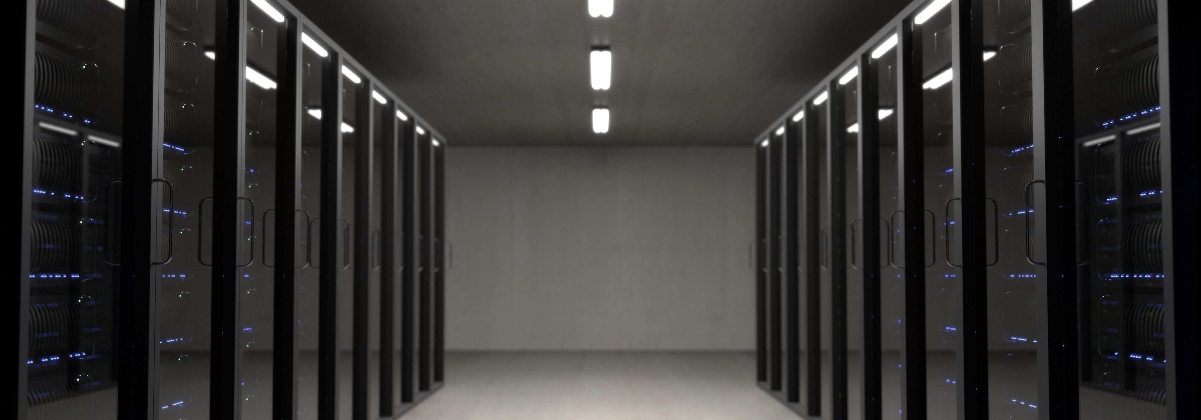 Rows of network server racks with patch cabling in a data hall
